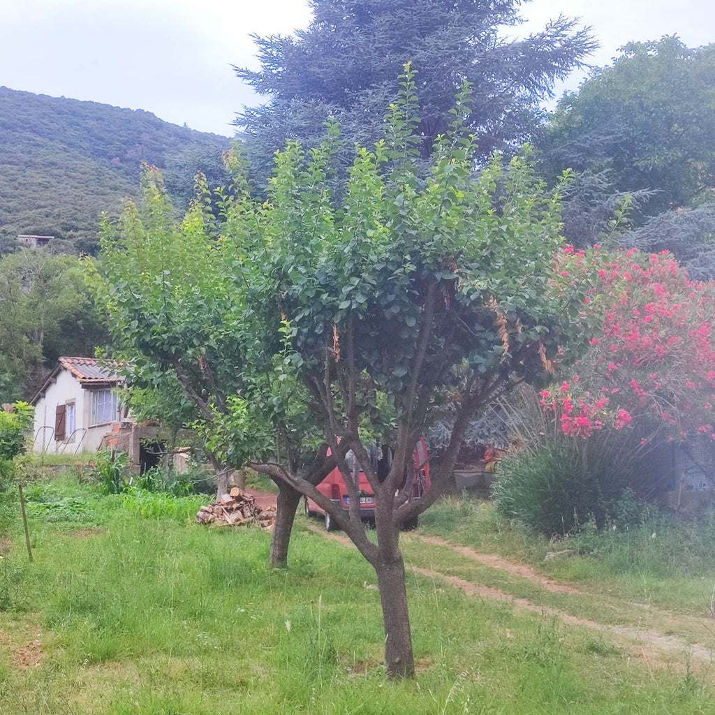 Séjour de 1 nuit et 2 thérapies et 2 repas