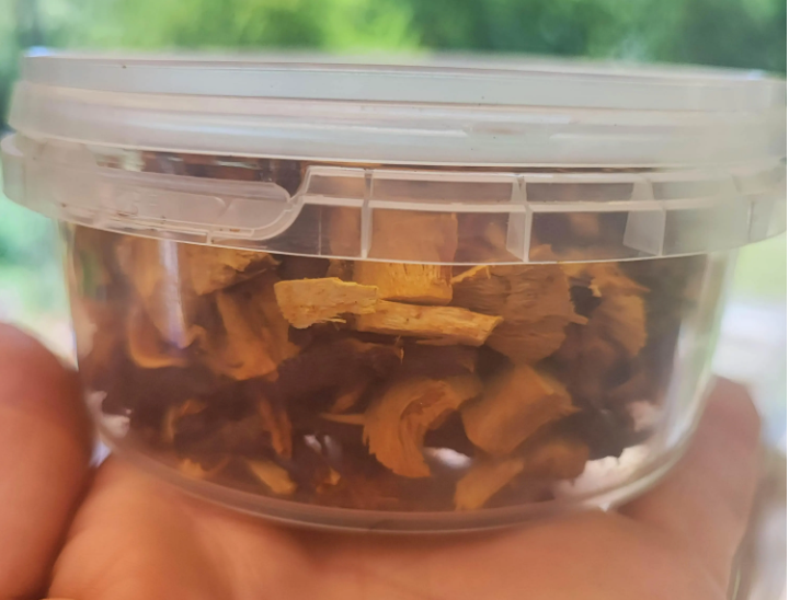 La tisane de racine de renouée du Japon, Huzhang, issu de l'agriculture biologique, Fallopia japonica