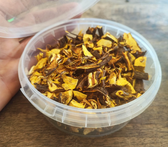 La tisane de racine de renouée du Japon, Huzhang, issu de l'agriculture biologique, Fallopia japonica