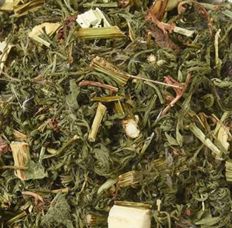 Tisane  l'Artemisia annua, d'absinthe douce : traitement contre la candidose ! Action antiparasitaire, jaunisse et hémorroïdes