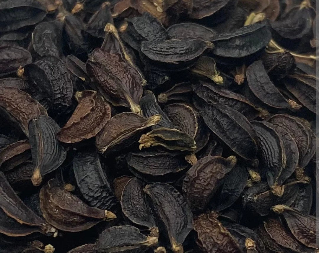 100 graines de céleri sauvage, Smyrnium olusatrum L, induisent l'apoptose dans les cellules du carcinome du côlon humain.